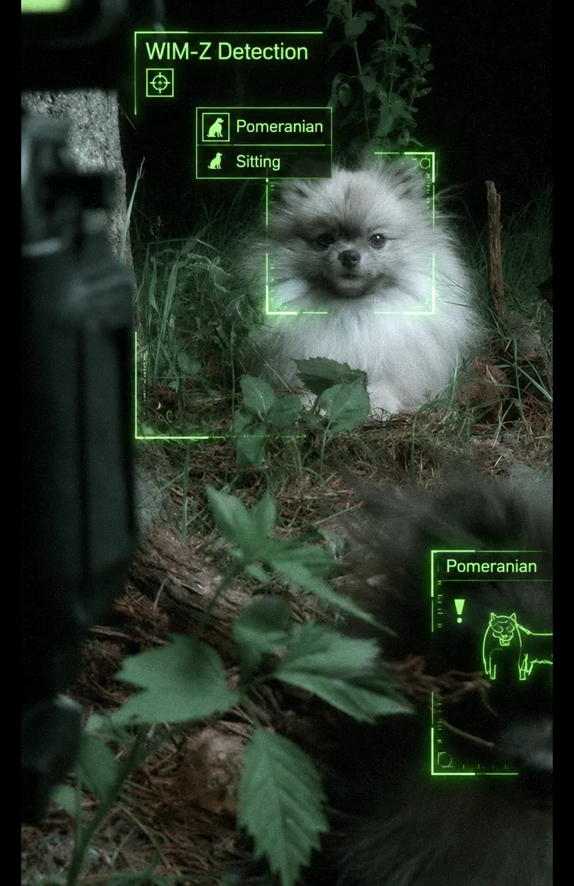 WIM-Z night-vision view of Pomeranians outdoors at night, each framed by a detection box labelled Pomeranian and Sitting