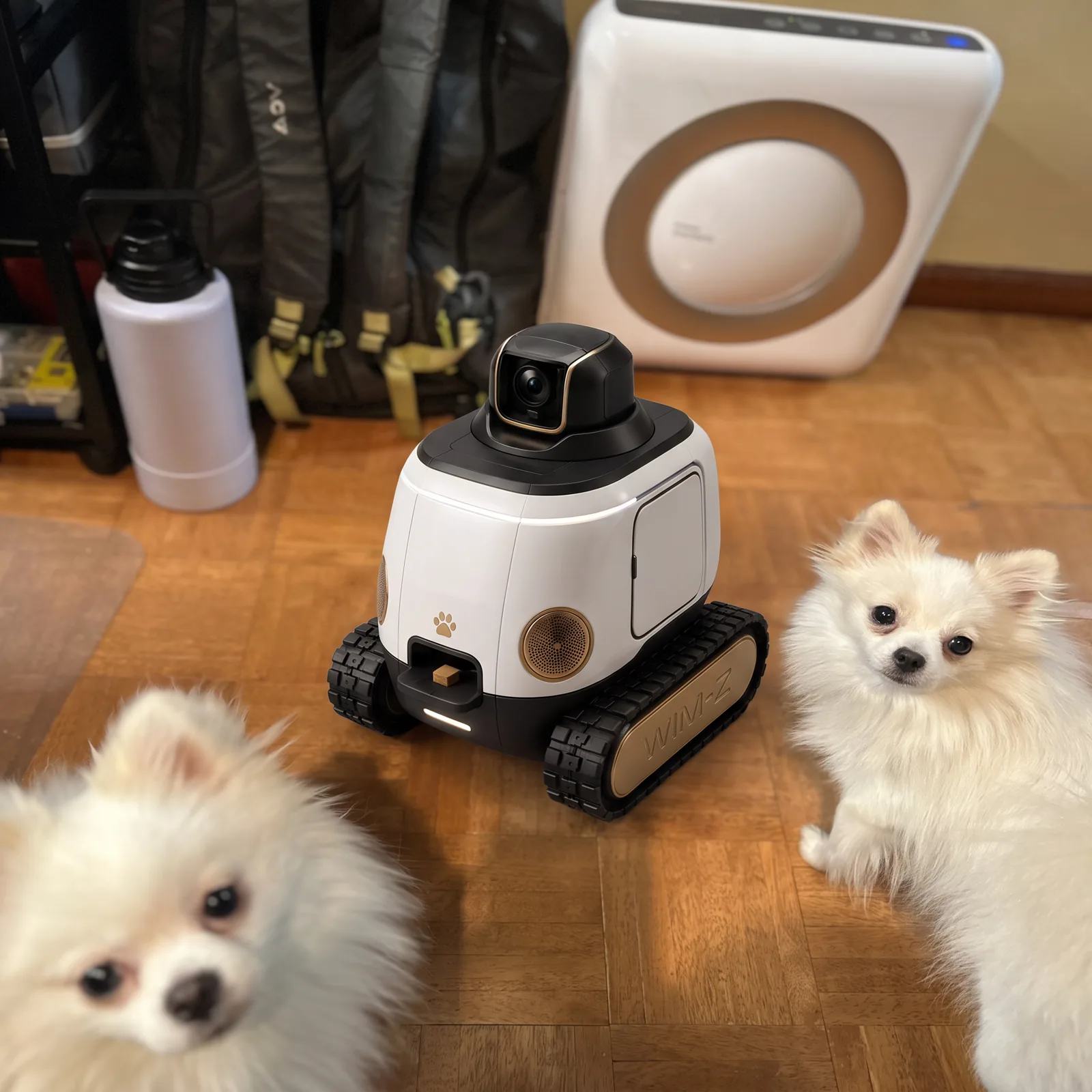 Two Pomeranians waiting on either side of WIM-Z on a hardwood floor at home, the robot's camera turret raised between them