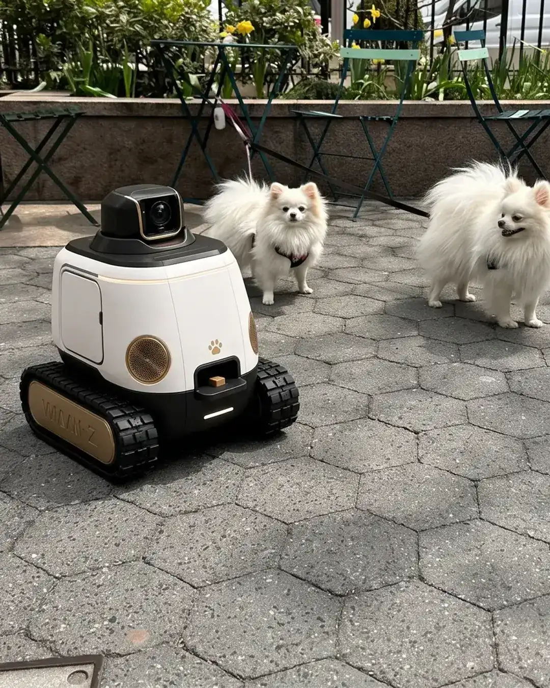 WIM-Z on a city plaza facing the camera, two white Pomeranians standing beside it
