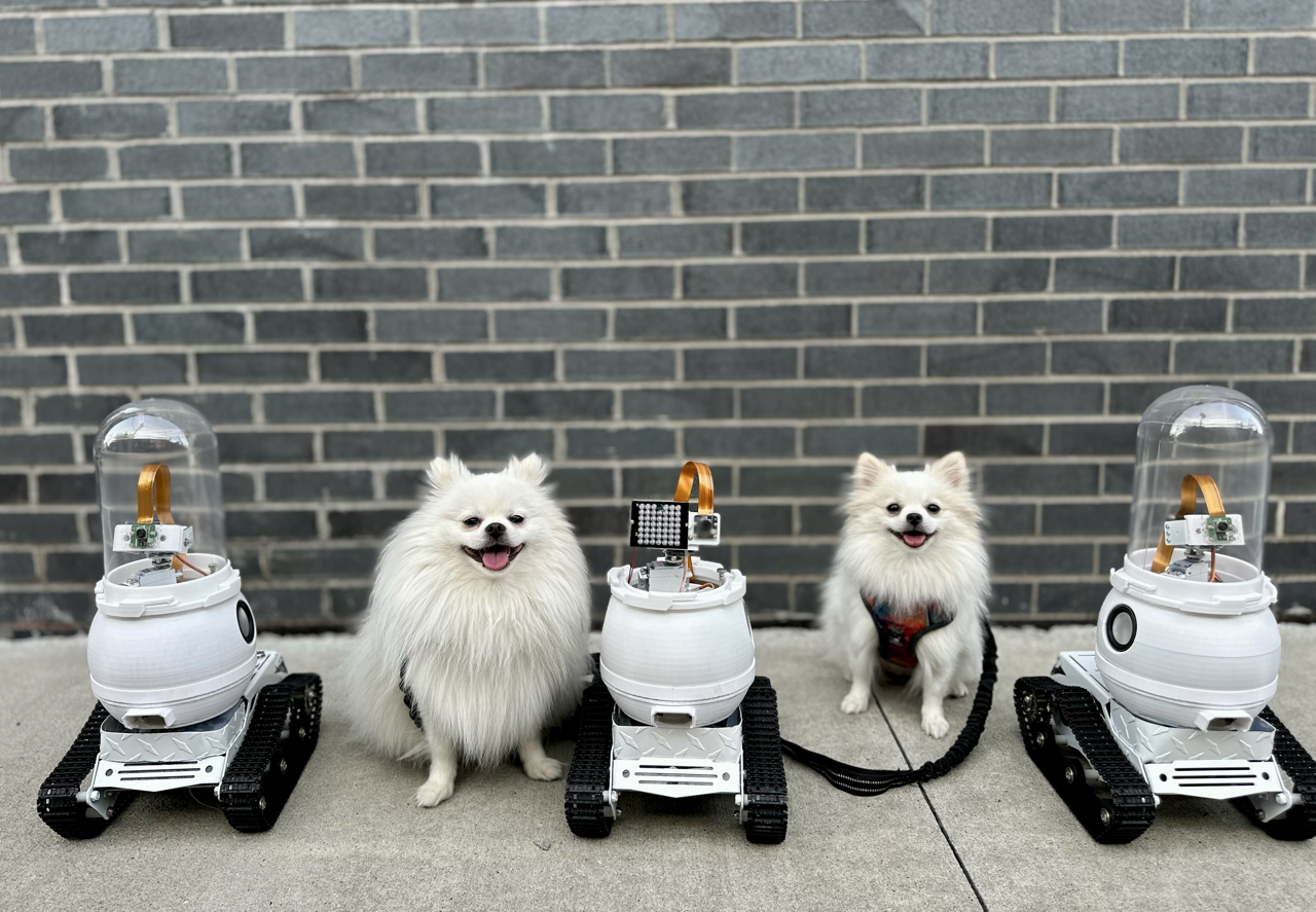 Two Pomeranians sitting between three WIM-Z prototype rovers on a sidewalk
